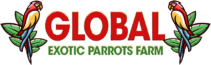 Global Exotic Parrots Farm
