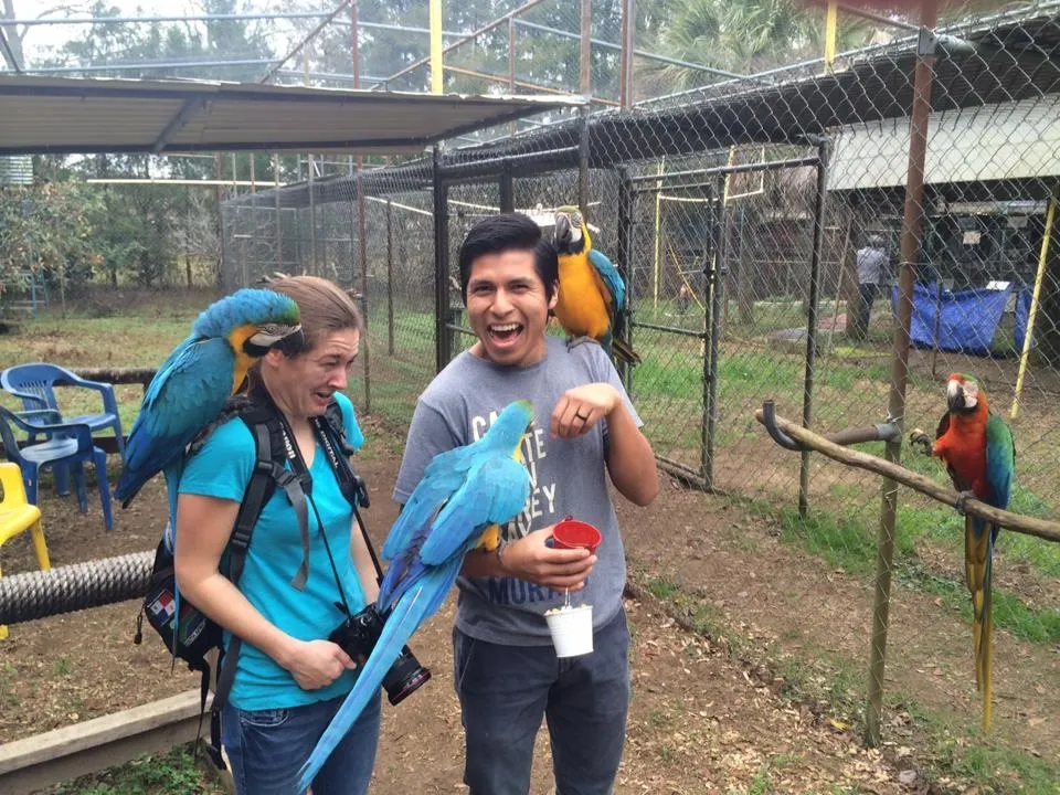 Exotic Parrots Farm