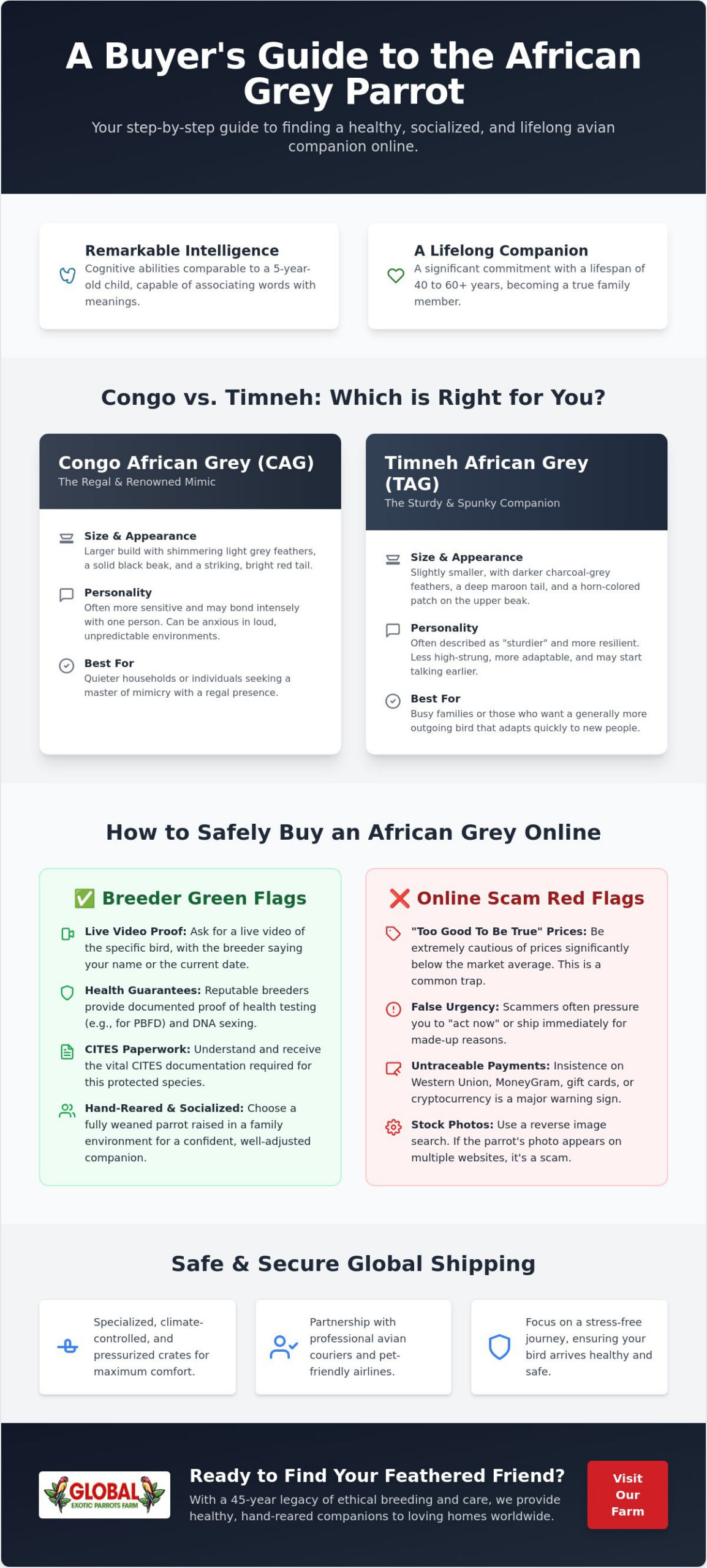 The Ultimate Guide to Buying an African Grey Parrot Online in 2026