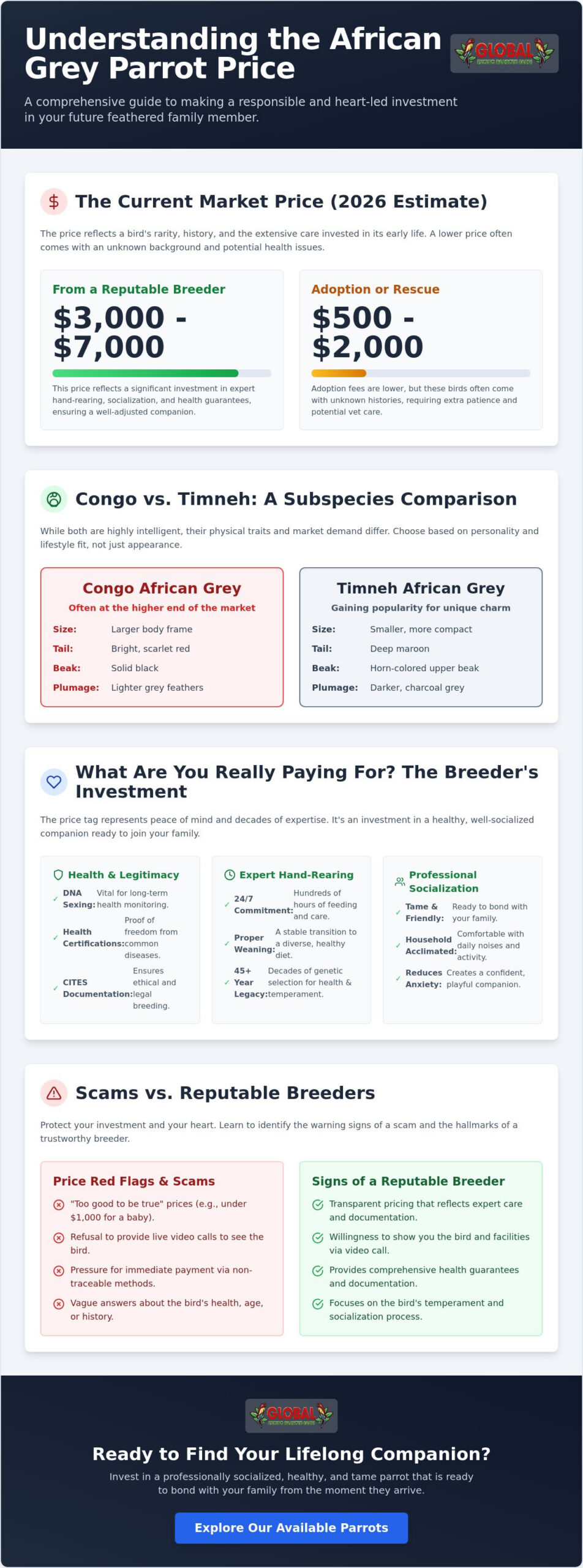Understanding the African Grey Parrot Price and Value in 2026